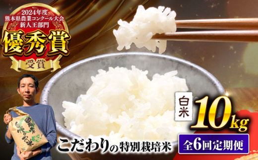 【先行予約】 【令和7年度】 【全6回定期便】 くまさんの輝き 白米 10kg 計60kg（2025年10月下旬ごろ順次発送） 米 こめ コメ お米 はくまい 精米【坂本農園】 [AYCC036]