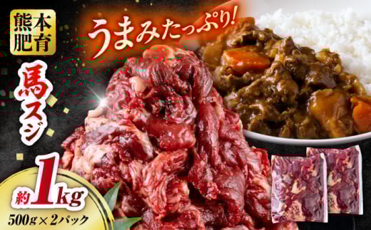 馬スジ 計1kg 500g×2パック / 肉 お肉 馬肉 スジ 筋 煮込み 冷凍 馬スジ 馬すじ 馬 肉 すじ肉 煮込み 熊本県 合志市【五右衛門フーズ熊本店】 [AYBV030]