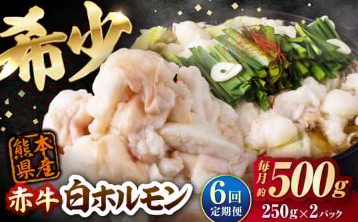 【全6回定期便】 赤牛 ホルモン 500g（250g×2パック） / お肉 肉 牛肉 あか牛 小腸 シロホルモン もつ 熊本県産 冷凍 和牛 赤牛 褐毛和種 ホルモン モツ モツ鍋 もつ鍋 鍋 焼き肉 焼肉 定期便 定期便6回 冷凍 国産 熊本 熊本県 肥後 熊本県産【五右衛門フーズ熊本店】 [AYBV038]