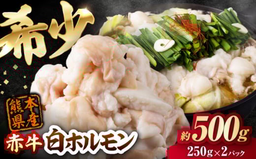 赤牛 ホルモン 500g（250g×2パック） / お肉 肉 牛肉 あか牛 小腸 シロホルモン もつ 熊本県産 冷凍 和牛 赤牛 褐毛和種 ホルモン モツ モツ鍋 もつ鍋 鍋 焼き肉 焼肉 冷凍 国産 熊本 熊本県 肥後 熊本県産【五右衛門フーズ熊本店】 [AYBV040]