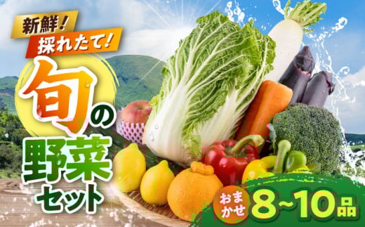 旬の野菜 おまかせ 詰め合わせ セット 8〜10品目 やさい 産直 産地直送 熊本県【合志物産販売 志来菜彩】 [AYCA001]