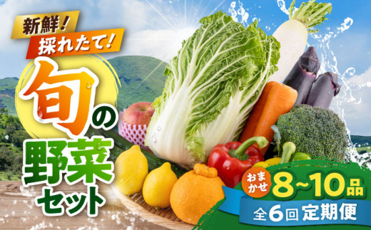 【全6回定期便】旬な野菜おまかせ詰め合わせセット やさい 産直 産地直送 熊本県【合志物産販売 志来菜彩】 [AYCA004]