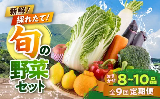【全9回定期便】旬な野菜おまかせ詰め合わせセット やさい 産直 産地直送 熊本県【合志物産販売 志来菜彩】 [AYCA005]