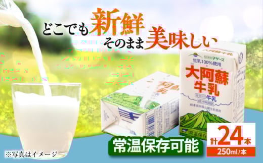 大阿蘇牛乳 250ml（24本入り）牛乳 ミルク カルシウム 熊本県産 国産【合同会社 たべたせいか】 熊本 九州 生乳100% 常温  [AYCB028]