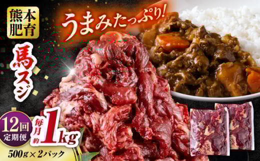 【全12回定期便】 馬スジ 計12kg 1回あたり1kg（500g×2パック） / 肉 お肉 馬肉 スジ 筋 煮込み 冷凍 馬スジ 馬すじ 馬 肉 すじ肉 煮込み 熊本県 合志市【五右衛門フーズ熊本店】 [AYBV015]