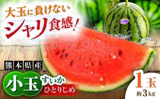 【2026年発送分 先行予約】【数量限定】小玉すいか 1玉入（約3kg） 　【一般社団法人クラッシーノこうし】 [AYAB023]