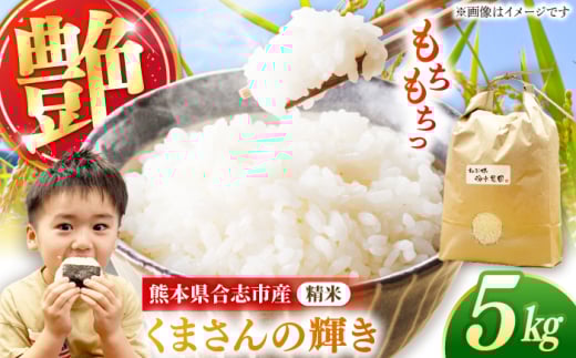 わぶ城湧水農園 精米 5kg くまさんの輝き お米 熊本県 【一般社団法人クラッシーノこうし】 [AYAB051]