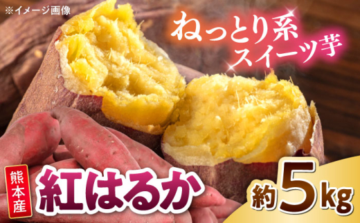 紅はるか 秀品 約5kg S〜2Lサイズ混合 【株式会社 Foody’s】さつまいも 芋 べにはるか 熊本県産 さつま芋 いも 芋 国産 九州産 熊本産 熊本県 合志市 [AYAT004]