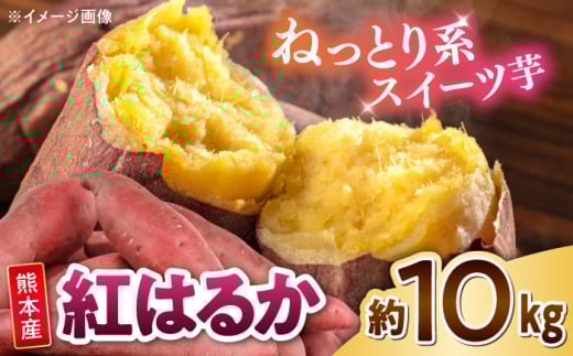 紅はるか 秀品 約10kg S〜2Lサイズ混合　【株式会社 Foody’s】さつまいも 芋 べにはるか 熊本県産 さつま芋 いも 芋 国産 九州産 熊本産 熊本県 合志市 [AYAT005]