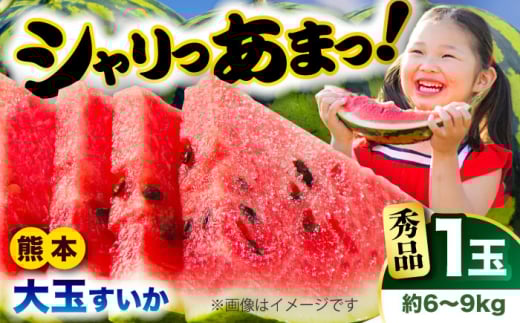 【2026年発送分 先行予約】【数量限定】【秀品】大玉すいか 1玉 約6kg～9kg 【株式会社 Foody's】 熊本県 合志市 スイカ すいか 果物 フルーツ お取り寄せ 大玉スイカ 大玉すいか クマモト くまもと 熊本 特産品 [AYAT006]