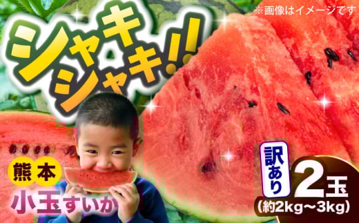【2026年発送分 先行予約】【数量限定】【訳あり】小玉すいか 2玉 約2kg～3kg　【株式会社 Foody’s】 スイカ すいか 果物 フルーツ 小玉 お取り寄せ 小玉スイカ 小玉すいか クマモト くまもと 熊本 特産品 [AYAT009]
