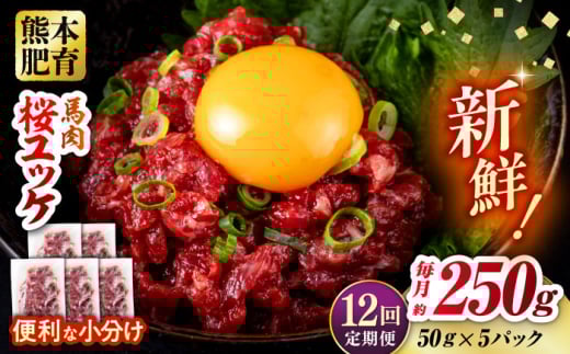 【全12回定期便】馬肉 さくらユッケ 50g×5パック 計250g お肉 桜ユッケ 赤身 生食 小分け 冷凍 馬肉 桜肉 ユッケ おつまみ 熊本県 合志市【五右衛門フーズ熊本店】 [AYBV018]