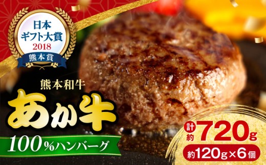 熊本 和牛 あか牛 100％ ハンバーグ 約120g×6個【有限会社 三協畜産】あか牛 牛肉 和牛 ハンバーグ 小分け 熊本 特産品 [AYCQ001]