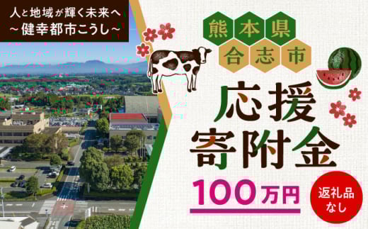 【応援寄附金】熊本県合志市 1口 100万円 返礼品なしのご寄附　【合志市役所】 [AYBZ005]