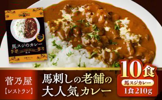 馬スジのカレー 10食 210g×10 計2.1kg 【株式会社 千興ファーム】馬スジ カレー セット 熊本 レトルト 小分け [AYAF027]