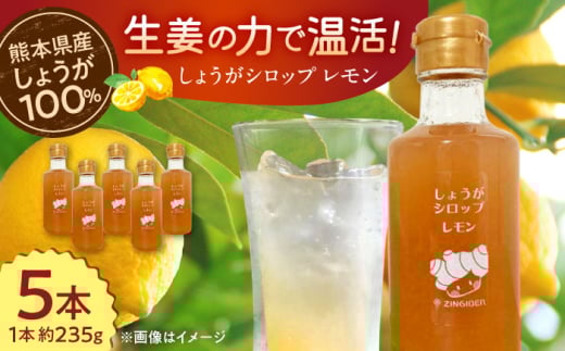 しょうがシロップ レモン 約235g×5本 セット【ジンジベル】合志市 熊本県 生姜 レモン シロップ 調味料 しょうが ジンジャー 果物 くだもの 飲料 炭酸 炭酸水 ジュース ドリンク 飲み物  ギフト プレゼント さっぱり飲料 スパイス   [AYAD009]