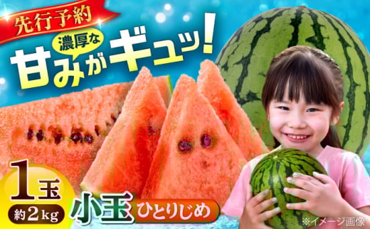 【2026年発送分 先行予約】【数量限定】小玉 すいか 1玉 ひとりじめ 計2kg 【合同会社 福福堂】 [AYAC054]