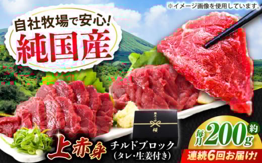 【全6回定期便】『純国産』熊本の味 上赤身 馬刺し 約200g ブロック チルド 冷蔵 タレ付き【有限会社 九州食肉産業】 馬刺し 馬肉 桜肉 モモ肉 もも 馬 うま ウマ ヘルシー 国産 新鮮 専用タレ 上赤身 赤身 上質 小分け セット 大容量 低カロリー 高タンパク 冷凍 生食 生肉 産地 部位 専用醤油付 専用 醤油 専用タレ付 タレ ギフト 贈答用 食品 合志 合志市 [AYCN038]