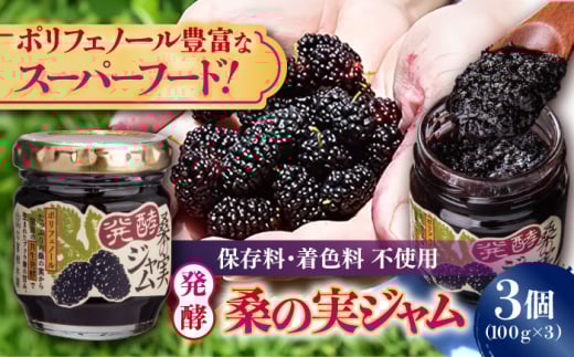 発酵桑の実 ジャム 3個セット（100g×3） 【株式会社 峯樹木園】 合志市 熊本県 ジャム じゃむ 手造り 果肉 桑の実 朝食 朝ごはん ヨーグルト トースト お菓子 菓子 お菓子作り セット 贈り物 プレゼント ギフト [AYBM012]