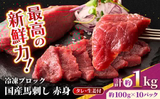 【フジチク】 国産 馬刺し 赤身 約100g×10個（計約1kg）【亀井通産 株式会社】赤身 馬刺し タレ付き 馬肉 熊本県 合志市  [AYBQ049]