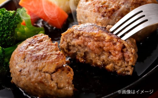 馬肉ハンバーグ 約150g×10個 計約1.5kg【阿蘇牧場】馬肉 ハンバーグ 小分け セット 熊本 熊本県 合志市 [AYBX069]