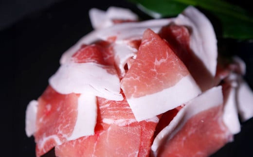 『香心ポーク』 切り落とし 約250g×16パック（計約4kg）豚肉 冷凍 熊本県産 【有限会社 コーシン】 豚肉 豚 ポーク 切り落とし 熊本 熊本県 九州 大容量 冷凍 小分け パック おかず 料理 炒め物 ぶたにく にく 肉 [AYCK001]