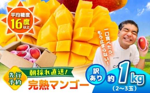 [2026年発送分 先行予約][訳あり] [数量限定] 菊池マンゴー約1kg(2〜3玉) L〜4Lサイズ [友枝マンゴー農園]果物 フルーツ マンゴー アーウィン くだもの 旬 期間限定 季節限定 スイーツ 国産 [AYDF001]