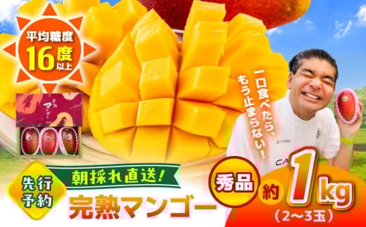 [2026年発送分 先行予約][数量限定]秀品 菊池マンゴー約1kg(2〜3玉) L〜3Lサイズ [友枝マンゴー農園]果物 フルーツ マンゴー アーウィン くだもの 旬 期間限定 季節限定 スイーツ 国産 [AYDF003]