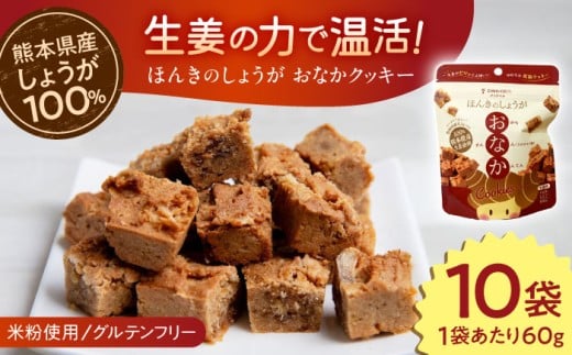 ほんきのしょうが おなかクッキー ジップパック10袋セット【ジンジベル】 [AYAD016]