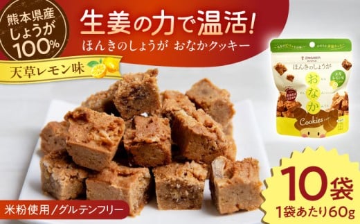 ほんきのしょうが おなかクッキー 天草レモン味10袋セット【ジンジベル】 [AYAD018]