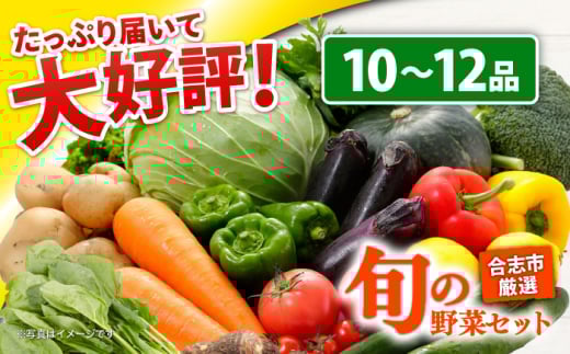 旬のお野菜 セット 10〜12品 野菜 旬 季節 詰め合わせ おまかせ 新鮮 やさい 産地直送 熊本県 合志市 【一般社団法人クラッシーノこうし】[AYAB008]
