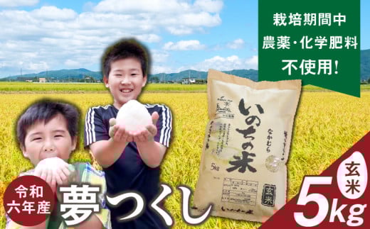 令和6年産夢つくし(玄米)5kg中村農園いのちの米_令和6年産 夢つくし 5kg 玄米 いのちの米 つややか 光沢 もちもち 食感 粘り 甘み ビタミン ミネラル 食物繊維 国産 米 新米 ブランド米 ご飯 おにぎり おむすび 弁当 主食 食品 食べ物 グルメ お取り寄せ お取り寄せグルメ 福岡県 久留米市 送料無料_Gr061