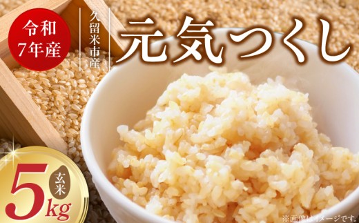 【令和7年産 新米】福岡県産ブランド米元気つくし 玄米 5kg_Gr067