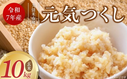 【令和7年産 新米】福岡県産ブランド米元気つくし 玄米 10kg_Gr068