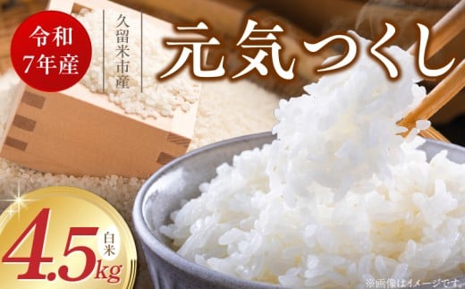 [令和7年産 新米]福岡県産ブランド米元気つくし 白米 4.5kg_Gr069