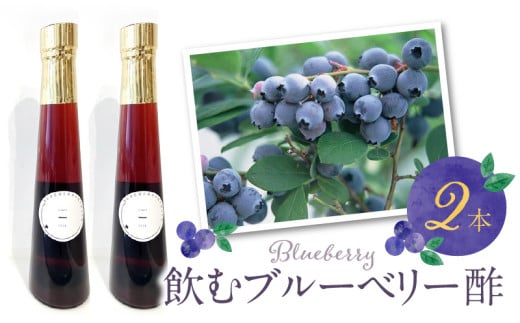 飲むブルーベリー酢　2本_お酢 ドリンク ブルーベリー 300ml 2本 飲むお酢 ブルーベリー酢 甘くて飲みやすい 希釈 3倍～5倍 果汁 アントシアニン 疲れ目予防 腸内環境改善 簡単 アレンジ 牛乳 炭酸 お酒 瓶 果実酒 お酢飲料 飲料 飲み物 健康 福岡県 久留米市 お取り寄せ 送料無料_Ex218