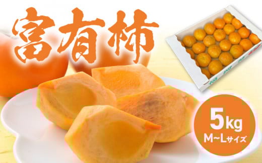 富有柿_富有柿 5kg M L サイズ ふっくら 丸み 果肉 やわらか 果汁 甘み 強い 食べやすい ジューシー おすすめ フルーツ 果物 デザート 柿 秋 味覚 国産 お取り寄せ お取り寄せフルーツ 食品 福岡県 久留米市 送料無料_Fk009