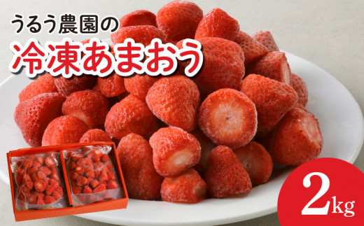 うるう農園の冷凍あまおう2kg_あまおう 2kg 冷凍 甘い 濃厚 新鮮 いちごの王様 うるう農園 いちご 果物 アレンジ おやつ フルーツ スイーツ スムージー ジャム アイス けずり苺 お取り寄せ お取り寄せグルメ 福岡県 久留米市 送料無料_Fi204