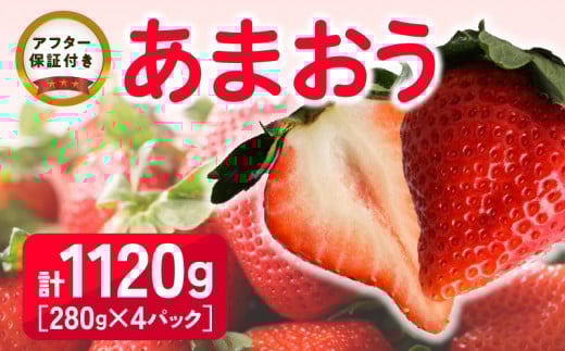 福岡県産 あまおう 1120g(280g×4パック) 2026年2月より順次発送_【先行予約】福岡県産 あまおう 280g×4パック 計1120g 2026年2月より順次発送 アフター保証 ブランド いちご 王様 食べ応え 溢れ出す 果汁 魅力 果物 冷蔵 国産 お取り寄せ 久留米市 送料無料_Fi034