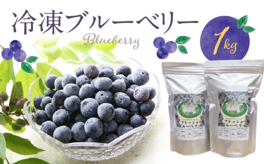 冷凍ブルーベリー 1kg_冷凍 ブルーベリー 1kg 完熟 自家農園 ミキサー アイス ヨーグルト シャーベット スムージー アントシアニン 疲れ目 腸内環境 国産 ジャム レシピ 冷凍フルーツ 果物 フルーツ お取り寄せ くだものお取り寄せ 福岡県 久留米市 送料無料_Fx005