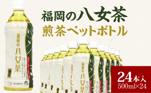 福岡の八女茶煎茶ペットボトル500ml×24本_福岡の八女茶煎茶 ペットボトル 500ml × 24本 緑茶 茶栽培農家 八女茶 甘み さっぱり 新鮮 香り 日本茶 まとめ買い 1ケース 水分補給 お茶 ソフトドリング 飲料 飲み物 備蓄 お取り寄せ 久留米市 送料無料_Ex203