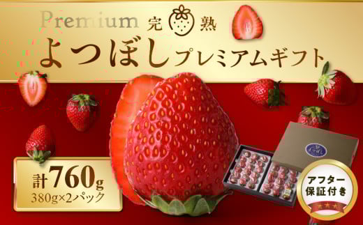 池田農園の完熟よつぼしプレミアムギフト (380g×2パック) 計760g