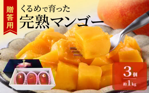 【2026年6月以降お届け】くるめで育った完熟マンゴー(3個:約1kg)_先行予約 贈答用 トロ~ッと口のなかでとろける くるめで育った 完熟マンゴー 3個 約 1kg 甘い 子供も安心 フルーツ  果物 マンゴー 完熟 国産 冷蔵 クール便 倉重農園 お取り寄せ 福岡県 久留米市 送料無料_Fm013