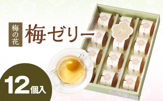 梅の花 梅ゼリー 12個入_梅ゼリー 95g × 12個 完熟 南高梅 まるごと 一粒 使用 優しい 甘さ 喉越し 爽やか とろける 食感 アレンジ シャーベット 梅酒ソーダ 梅 ゼリー おやつ デザート スイーツ フルーツゼリー 和菓子 贈答用 手土産 お取り寄せ グルメ 福岡県 久留米市 送料無料_Dw043