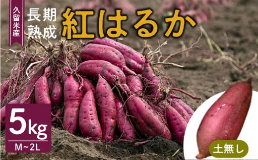 福岡県久留米市産 長期熟成紅はるか 5kg M~2L 土なし_さつまいも 久留米市産 長期熟成 紅はるか 5kg M ~ 2L サイズ 土無し 栽培期間中農薬不使用 熟成 甘い 美味しい おやつ スイーツ 保存 さつまいもご飯 サラダ 常温発送 国産 九州 福岡県 久留米市 お取り寄せ お取り寄せグルメ 送料無料_Gx037