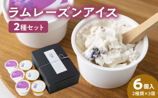 ラムレーズンアイス6個セット(2種の味わい)_ラムレーズン アイス 6個 セット 2種 x 各 3ヶ 国産干しぶどう ジャージーミルク ラムレーズンアイス ミルクアイス アイスクリーム スイーツ デザート おやつ カップ カップアイス 贈り物 福岡県 久留米市 お取り寄せ お取り寄せスイーツ 送料無料_Dw057