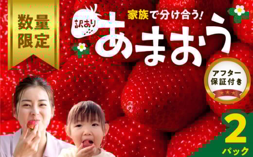 【数量限定】【訳あり】ファミリー向け あまおう約270g×2パック_あまおう 270g 2パック 国産 福岡県産 ブランドいちご アフター保証 食べ方いろいろ 甘い 果物 フルーツ ストロベリー 苺 エコファーマー認定農家 お取り寄せ スイーツ デザート 家庭用 福岡県 久留米市 送料無料_Fi068