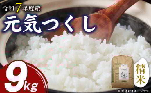 【先行受付】元気つくし（精米）9kg【令和7年度産米】_先行受付 米 元気つくし 精米 9kg 令和7年度産 受注後 鮮度抜群 新鮮 福岡生まれ 風味豊か 旨み 粒立ちしっかり 冷めても美味しい 白米 ご飯 お米 弁当 おにぎり 白ご飯 福岡県産 お取り寄せ 福岡県 久留米市 送料無料_Gr049