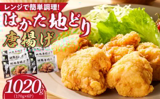 はかた地どり から揚げ1020g_Ax128