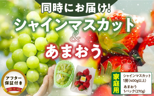 【2025年12月よりお届け】シャインマスカット（1房）、あまおう（1パック・平パック）_シャインマスカット 1房 あまおう 1パック セット 選べる 家庭用 平パック 贈答用 新鮮 人気 詰め合わせ いちご ぶどう 果物 フルーツ 果実 食品 デザート グルメ お取り寄せ お取り寄せグルメ 福岡県 久留米市 送料無料_Fx015